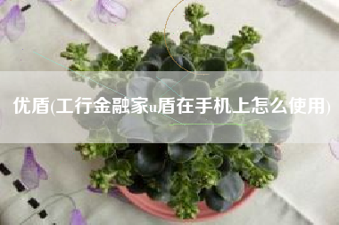 优盾(工行金融家u盾在手机上怎么使用)