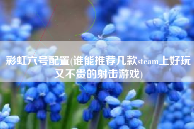 彩虹六号配置(谁能推荐几款steam上好玩又不贵的射击游戏)