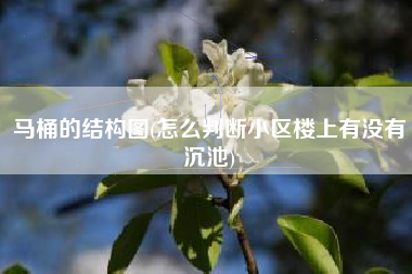 马桶的结构图(怎么判断小区楼上有没有沉池)