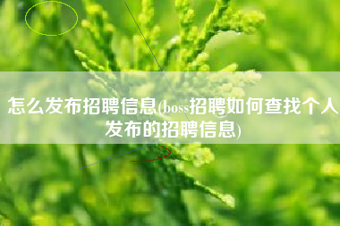 怎么发布招聘信息(boss招聘如何查找个人发布的招聘信息)