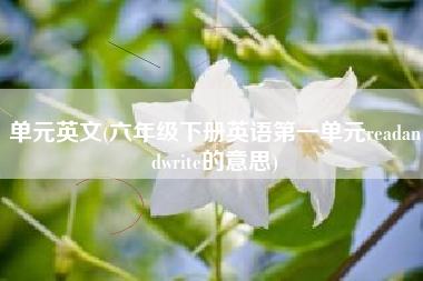 单元英文(六年级下册英语第一单元readandwrite的意思)
