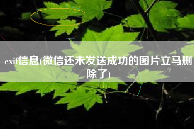 exif信息(微信还未发送成功的图片立马删除了)