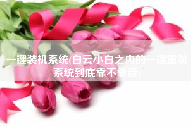 一键装机系统(白云小白之内的一键重装系统到底靠不靠谱)