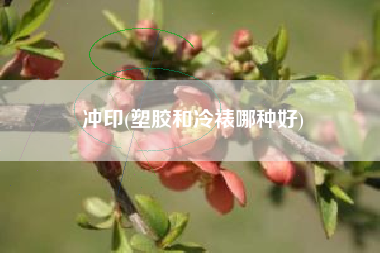 冲印(塑胶和冷裱哪种好)