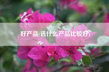 好产品(选什么产品比较好)