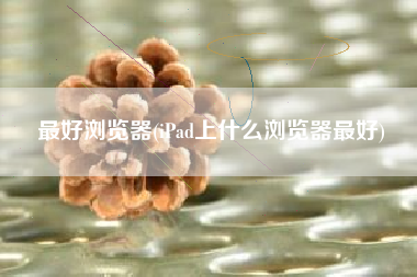 最好浏览器(iPad上什么浏览器最好)