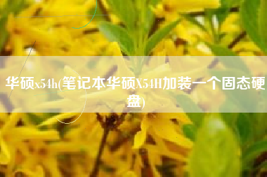 华硕x54h(笔记本华硕X54H加装一个固态硬盘)