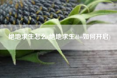 绝地求生怎么(绝地求生dlss如何开启)