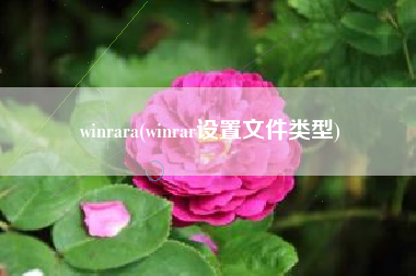 winrara(winrar设置文件类型)