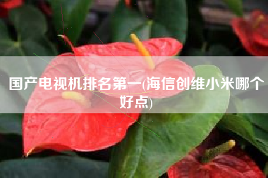 国产电视机排名第一(海信创维小米哪个好点)