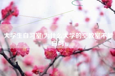 大学生自习室(为什么大学的空教室不能自习)