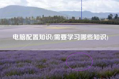 电脑配置知识(需要学习哪些知识)