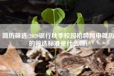 简历筛选(2020银行秋季校园招聘网申简历的筛选标准是什么呀)