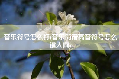 音乐符号怎么打(音乐简谱高音符号怎么键入啊)