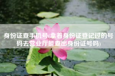 身份证查手机号(拿着身份证登记过的号码去营业厅能查出身份证号吗)