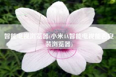 智能电视浏览器(小米4A智能电视能否安装浏览器)