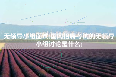 无领导小组面试(国网招聘考试的无领导小组讨论是什么)