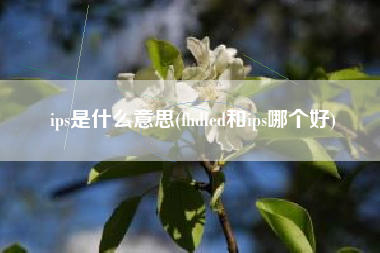ips是什么意思(fhdled和ips哪个好)