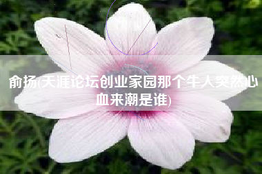 俞扬(天涯论坛创业家园那个牛人突然心血来潮是谁)