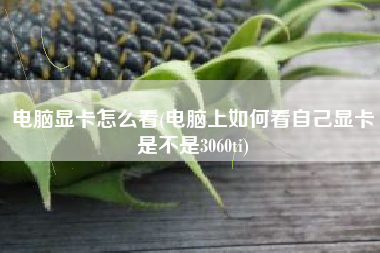 电脑显卡怎么看(电脑上如何看自己显卡是不是3060ti)