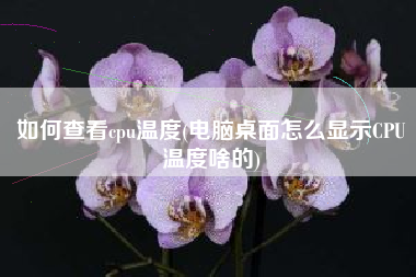 如何查看cpu温度(电脑桌面怎么显示CPU温度啥的)