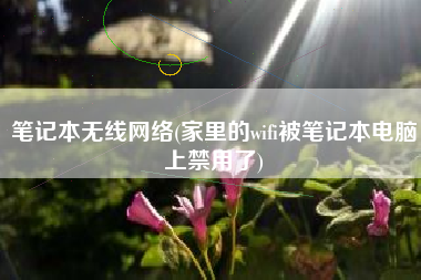 笔记本无线网络(家里的wifi被笔记本电脑上禁用了)