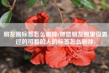 朋友圈标签怎么删除(微信朋友圈里设置过的可看的人的标签怎么删除)