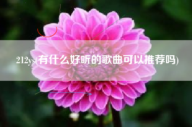 212ys(有什么好听的歌曲可以推荐吗)