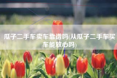 瓜子二手车卖车靠谱吗(从瓜子二手车买车能放心吗)