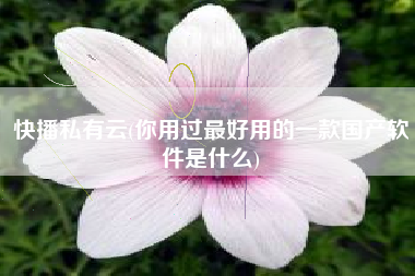 快播私有云(你用过最好用的一款国产软件是什么)