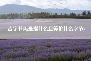 吉字节(8g是指什么且等价什么字节)