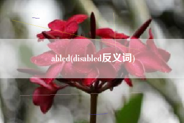 abled(disabled反义词)