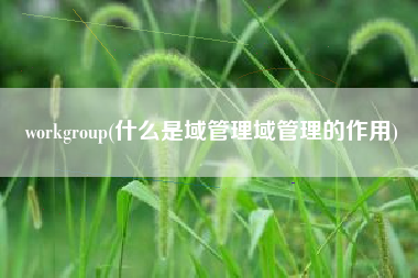 workgroup(什么是域管理域管理的作用)