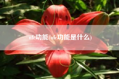 nfc功能(nfc功能是什么)