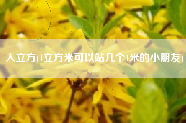 人立方(1立方米可以站几个1米的小朋友)