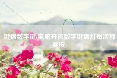 键盘数字键(电脑开机数字键盘灯每次都要按)