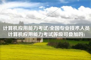 计算机应用能力考试(全国专业技术人员计算机应用能力考试等级可叠加吗)