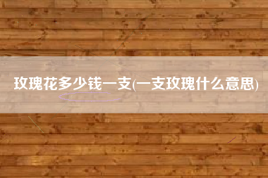 玫瑰花多少钱一支(一支玫瑰什么意思)