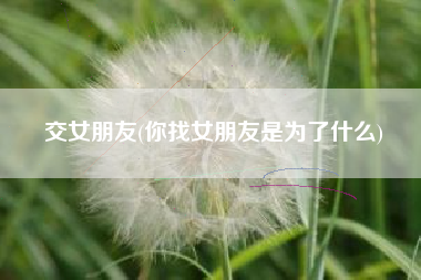 交女朋友(你找女朋友是为了什么)