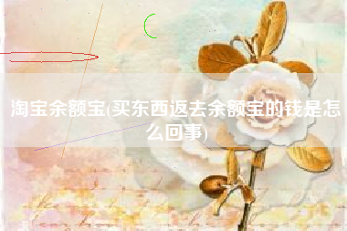 淘宝余额宝(买东西返去余额宝的钱是怎么回事)