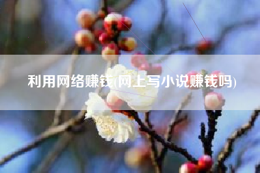利用网络赚钱(网上写小说赚钱吗)
