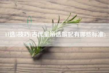 11选5技巧(古代皇帝选嫔妃有哪些标准)