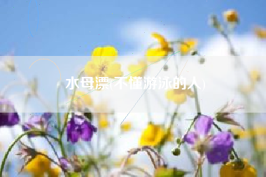 水母漂(不懂游泳的人)