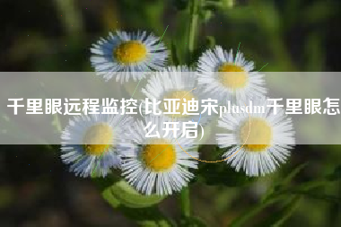 千里眼远程监控(比亚迪宋plusdm千里眼怎么开启)