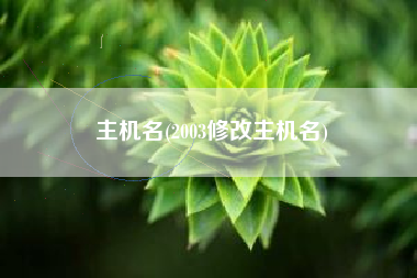 主机名(2003修改主机名)