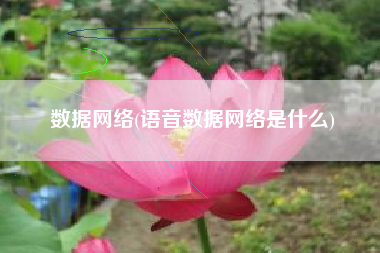 数据网络(语音数据网络是什么)