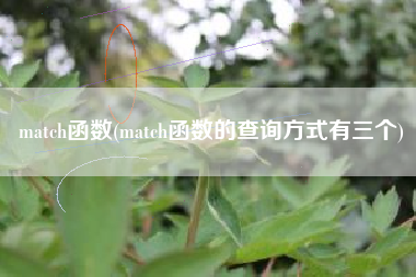 match函数(match函数的查询方式有三个)