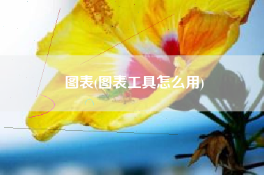 图表(图表工具怎么用)