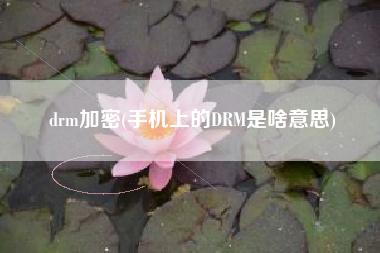 drm加密(手机上的DRM是啥意思)