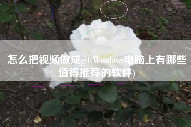 怎么把视频做成gif(Windows电脑上有哪些值得推荐的软件)